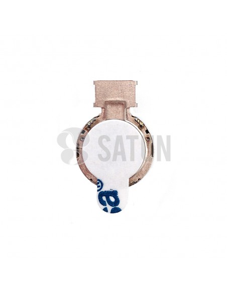 Vibrador Samsung Galaxy S8, S8 plus, S9, S9 plus, Note 8 y Note 9 posterior